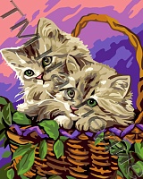 Картина по номерам Милые котята