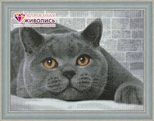 Алмазная мозаика Британский кот