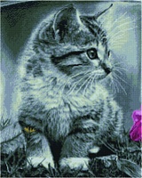 Алмазная мозаика Серый котенок