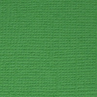 Бумага для скрапбукинга Лесной папоротник (т.зелёный) 30.5 x 30.5 см Mr. Painter