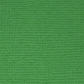 Бумага для скрапбукинга Лесной папоротник (т.зелёный) 30.5 x 30.5 см Mr. Painter