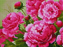 Алмазная мозаика Розовые пионы 30 х 40 см
