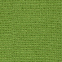 Бумага для скрапбукинга Оливковый венок (зеленый) 30.5 x 30.5 см Mr. Painter