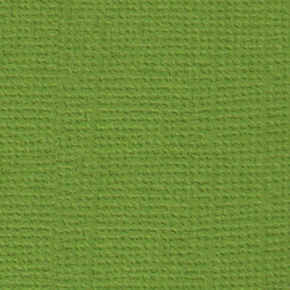 Бумага для скрапбукинга Оливковый венок (зеленый) 30.5 x 30.5 см Mr. Painter