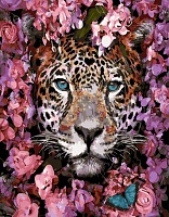 Картина по номерам Весенний леопард