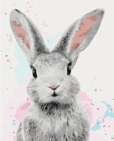 Картина по номерам Взгляд кролика