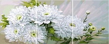 Картина по номерам Белые хризантемы 