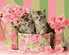 Картина по номерам Коробка с котятами