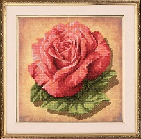 Набор для вышивания крестиком Роза 20 х 20 см 13 цветов частичная