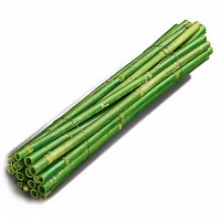 Элемент декора из натуральных материалов Зеленый 40 см KNORR prandell
