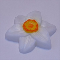 Пластиковая форма для мыла Нарцисс