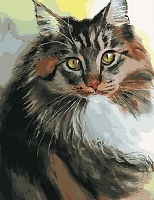 Картина по номерам Пушистый кот