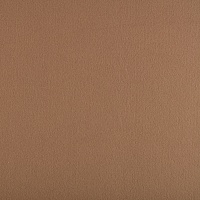 Фетр декоративный Premium 100% полиэcтер толщина 1,2 мм 33 х 53 см Бледно-коричневый