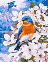 Картина по номерам Весенние птички