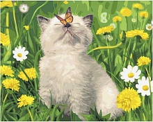 Картина по номерам Котенок с бабочкой в одуванчиках