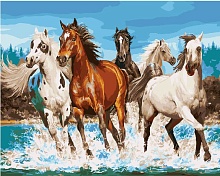 Картина по номерам Бегущие лошади