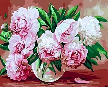 Картина по номерам Нежно-розовые пионы