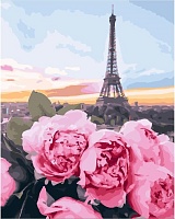 Картина по номерам Цветы в Париже