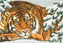 Канва с рисунком для вышивки нитками Амурский тигр 