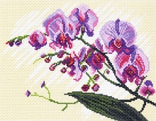 Канва с рисунком для вышивки нитками Орхидеи 