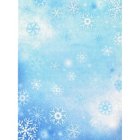 Дизайнерская канва №18  Снежинки на голубом 21 х 30 см