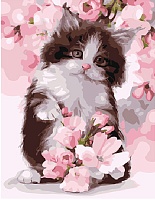 Картина по номерам Весенний котенок