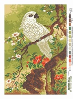 Канва с рисунком для вышивки нитками Белый попугай