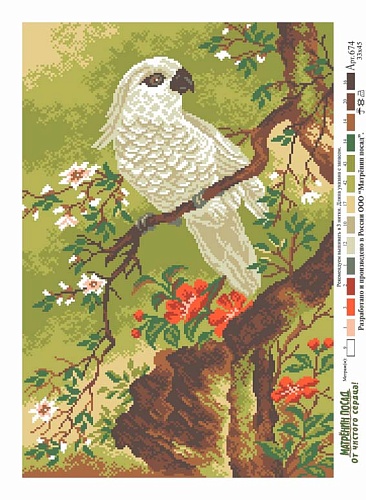 Канва с рисунком для вышивки нитками Белый попугай
