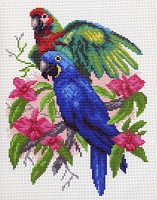 Канва с рисунком для вышивки нитками Попугайчики 