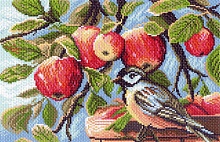 Канва с рисунком для вышивки нитками В яблоневом саду 