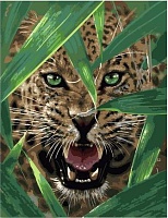 Картина по номерам Нападение гепарда