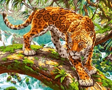 Картина по номерам Крадущийся ягуар