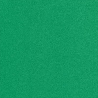 Пластичная замша Зеленый 0,5 мм 50 х 50 см Mr. Painter